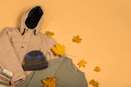 Stylish male jacket, sweater, hat and autumn leaves on color backgroundの写真素材