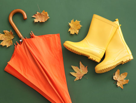 Umbrella, rubber boots and autumn leaves on green backgroundの写真素材
