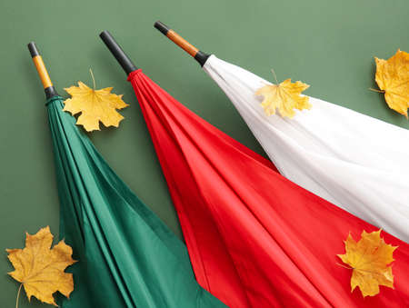 Different umbrellas and autumn leaves on green background, closeupの写真素材