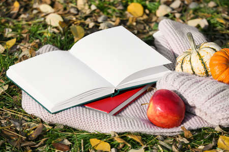 Opened book with blank pages, scarf, hat, apples and pumpkin on green grass with autumn leavesの写真素材