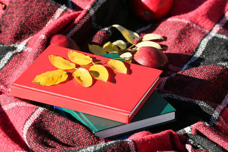 Stack of books and autumn leaves on plain