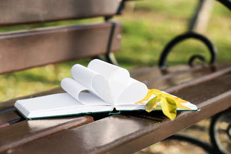 Opened book with folded pages and branch with autumn leaves on wooden bench in parkの写真素材