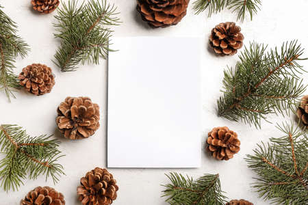 Composition with blank card, fir branches and pine cones on light background. hello winterの写真素材