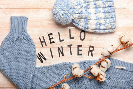 Composition with text HELLO WINTER, warm hat, sweater and cotton branch on light wooden background,...