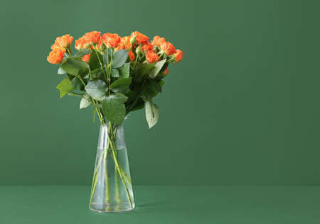 Vase with beautiful orange roses on green backgroundの写真素材