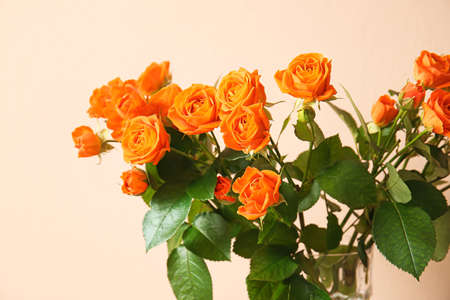 Bouquet of beautiful orange roses on beige backgroundの写真素材