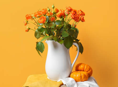 Jug with beautiful orange roses and pumpkins on table against color wallの写真素材