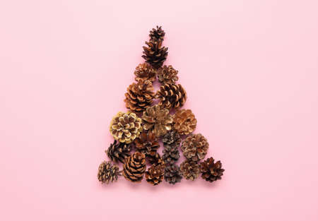 Christmas tree made of coniferous cones on color backgroundの写真素材