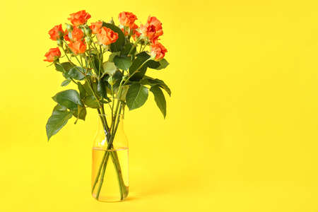 Vase with beautiful orange roses on yellow backgroundの写真素材