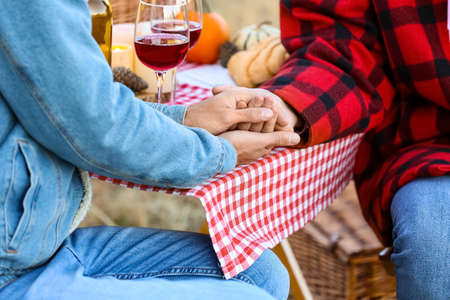 Happy gay couple having picnic outdoors, closeupの写真素材