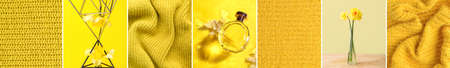 Set of knitted fabric with narcissus flowers and bottle of perfume in yellow colors