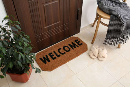 Mat with slippers and houseplant near dark wooden door