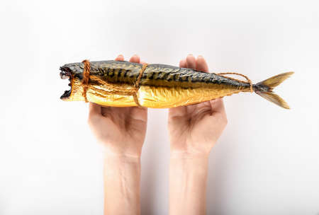 Woman holding tasty smoked mackerel fish on white backgroundの写真素材