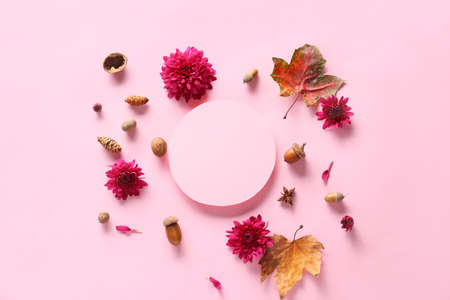 Composition with blank card, chrysanthemum flowers and natural forest decor on pink backgroundの写真素材