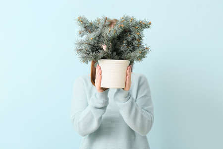 Young woman holding flowerpot with fir tree branches on blue backgroundの写真素材