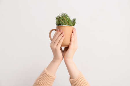 Woman holding cup with fir tree branches on light background, closeupの写真素材