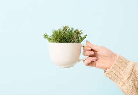 Female hand with cup of fir tree branches on color backgroundの写真素材