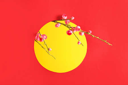 Blooming tree branches on color background