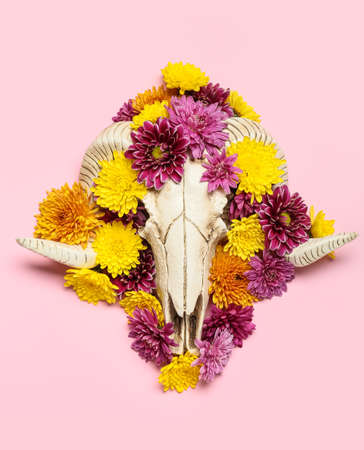 Skull of sheep with flowers on pink backgroundの写真素材