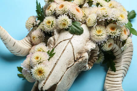 Skull of sheep with flowers on blue background, closeupの写真素材