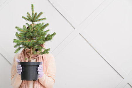 Woman holding pot with Christmas tree against light wallの写真素材