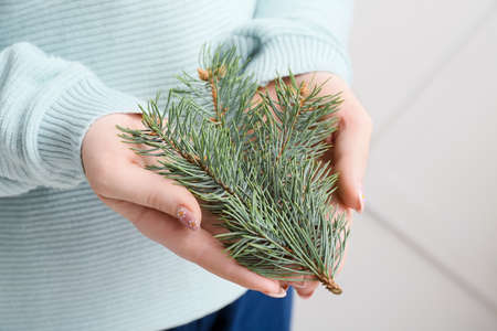 Woman with fir branch against light wall, closeup