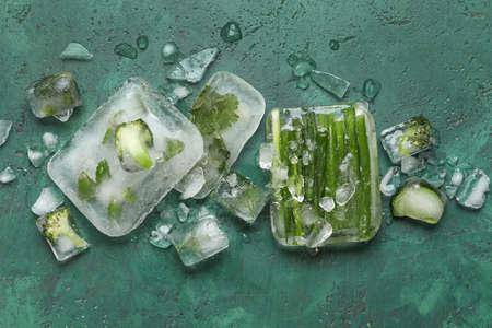 Fresh vegetables frozen in ice on green backgroundの写真素材