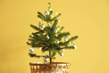 Beautiful decorated Christmas tree in pot near yellow wall, closeup