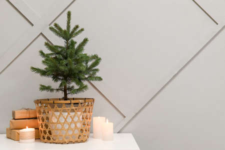 Beautiful Christmas tree in pot, burning candles and gift boxes on table near light wallの写真素材