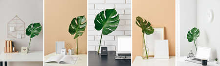 Set of stylish workplace with green monstera leaves