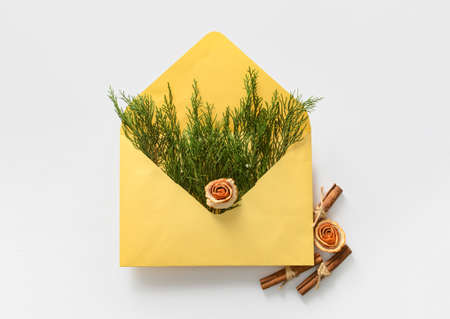 Composition with envelope, coniferous branches and cinnamon on white background