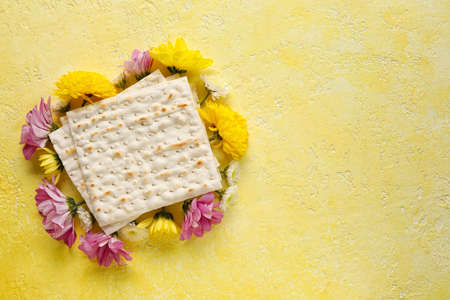 Jewish flatbread with flowers on color background