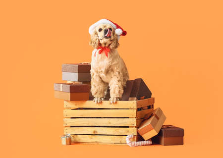 Adorable dog with Christmas gifts on color background