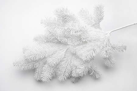 Beautiful Christmas fir branch isolated on white backgroundの写真素材