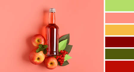 Bottle of fresh soda and fruits on pink background. Different color patternsの写真素材