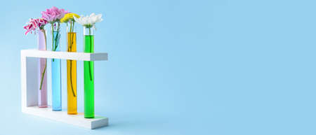 Test tubes with flowers on blue background with space for text