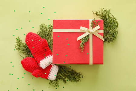 Composition with Christmas gift box, mittens and fir branches on color background
