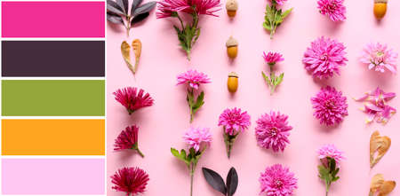 Beautiful composition with flowers on pink background. different color patternsの写真素材
