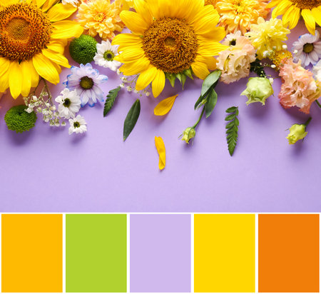 Beautiful composition with flowers on lilac background. different color patternsの写真素材