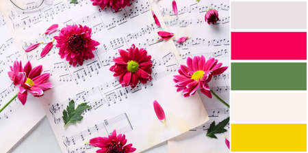 Beautiful flowers on music sheets. different color patterns