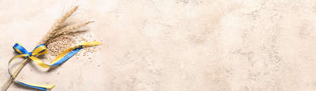 Wheat spikelets and ribbons in colors of Ukrainian flag on light background with space for textの写真素材