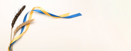 Wheat spikelets and ribbons in colors of Ukrainian flag on white background with space for textの写真素材