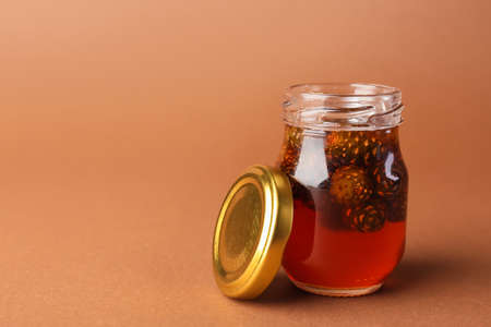 Jar of tasty pine cone jam on color background
