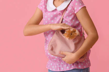 Little girl with cute guinea pig in bag on pink backgroundの写真素材