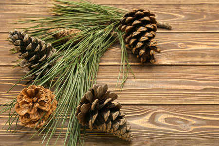 Pine cones with fir branch on wooden background, closeup