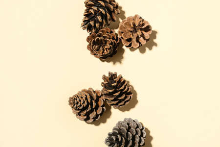 Pine cones on beige background