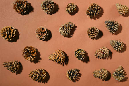 Pine cones on brown backgroundの写真素材