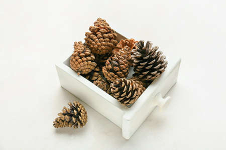 Box with pine cones on white background