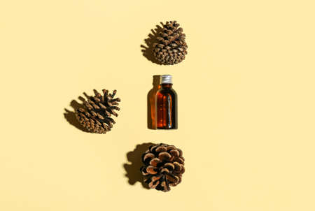 Bottle of essential oil and pine cones on color backgroundの写真素材