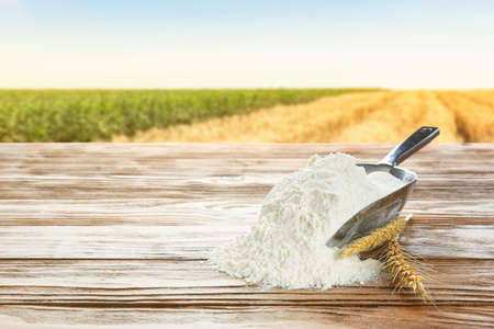 Scoop with wheat flour on wooden table in fieldの写真素材